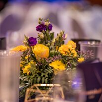 Senatsball_2026_0061