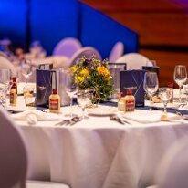 Senatsball_2026_0100